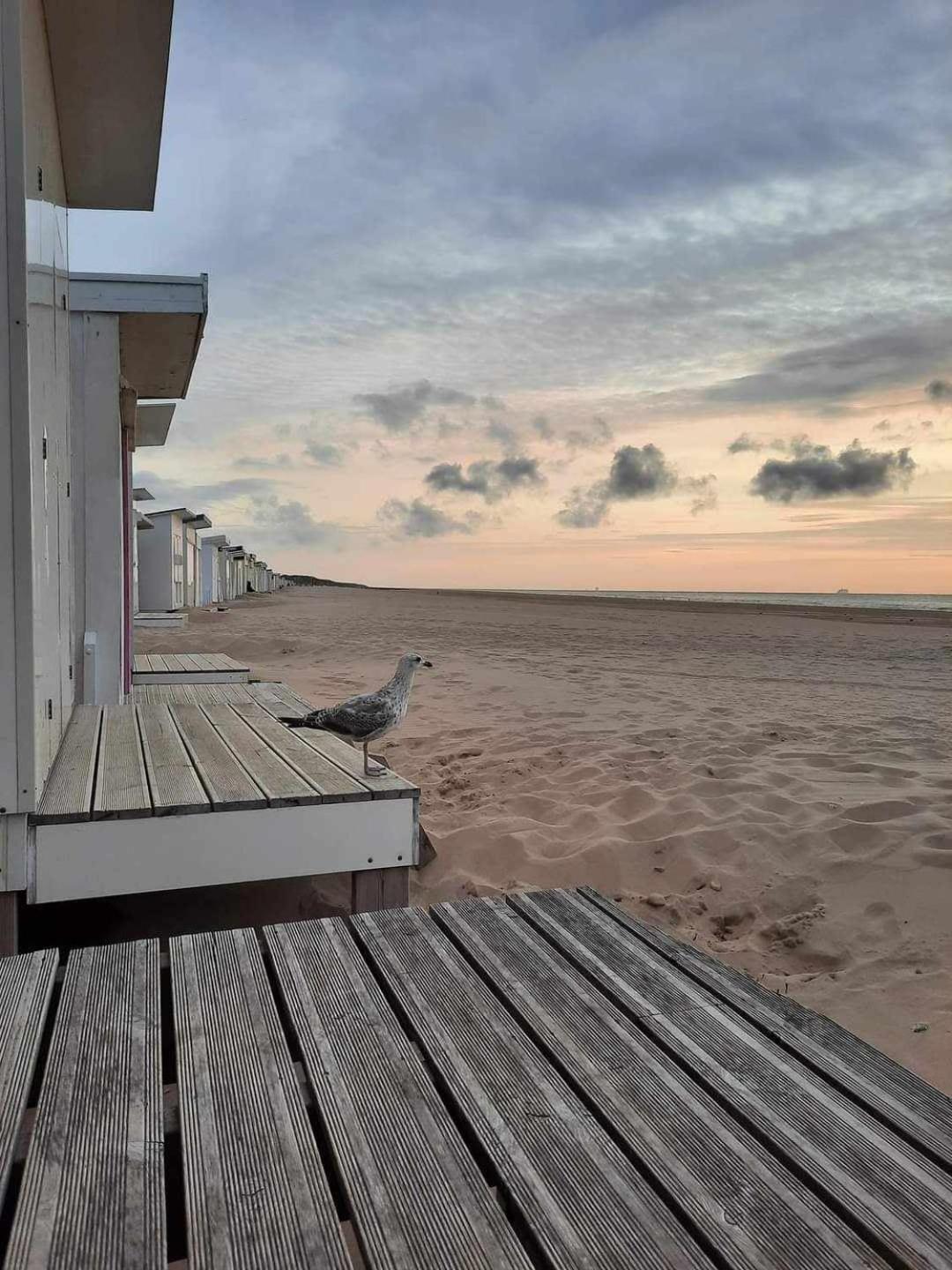 Plage-gare Elegant Equipe Calais